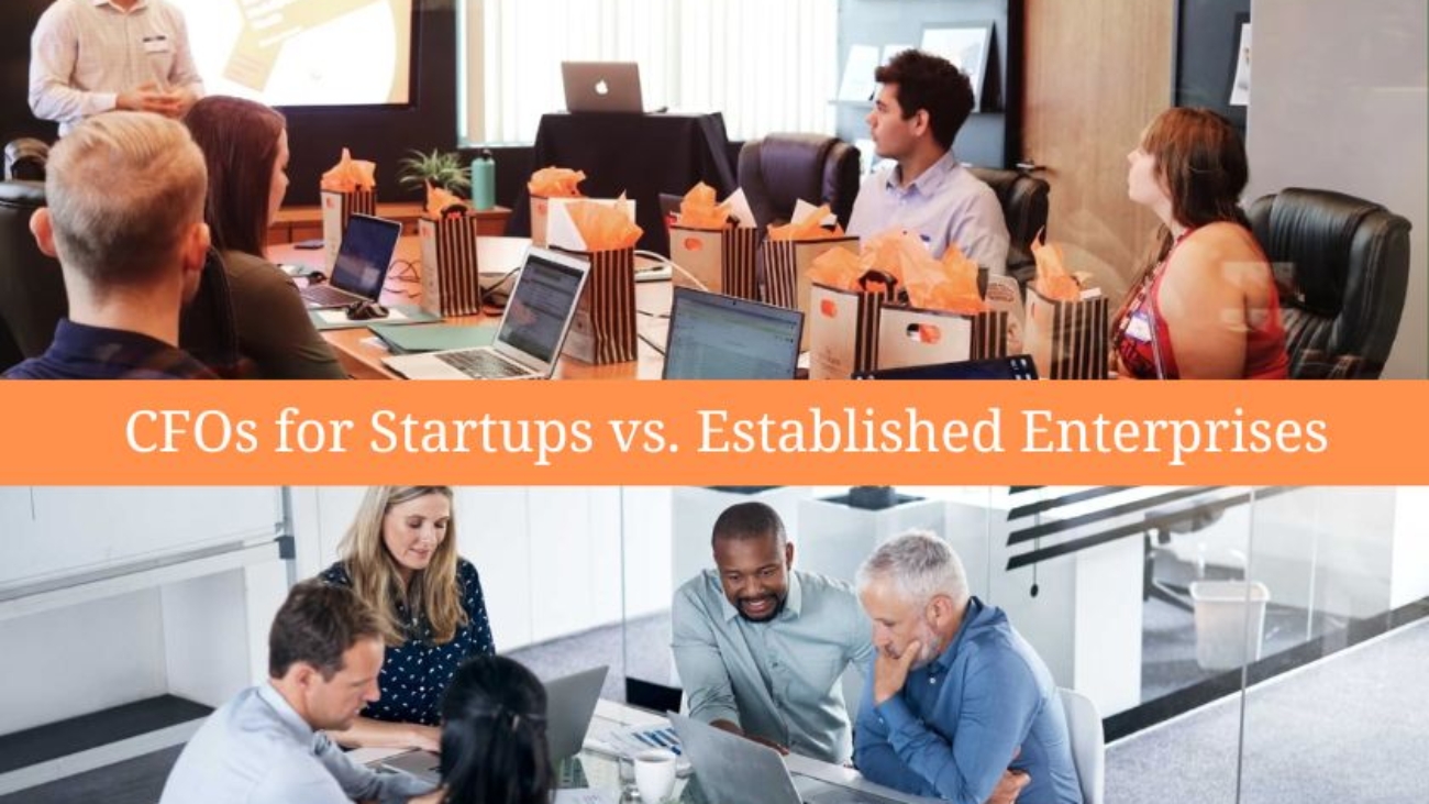 cfo for starups vs established enterprises